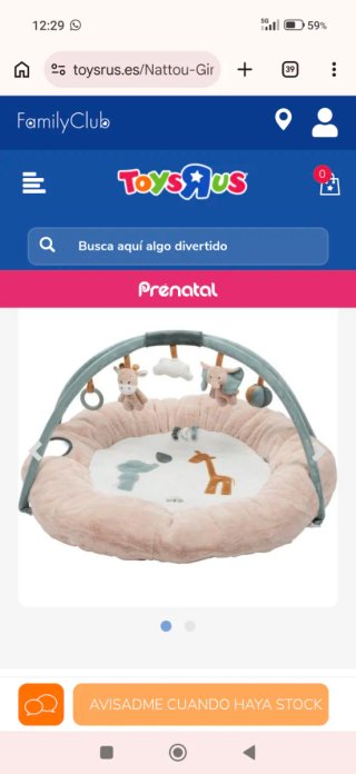 Gimnasio para bebés con 20 actividades