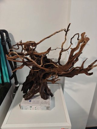Tronco árbol acuario madera natural