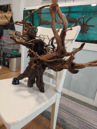 Tronco árbol acuario madera natural