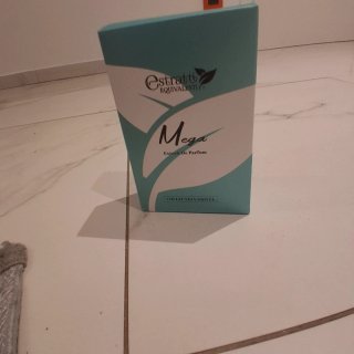 Estratti Equivalenti Mega Profumo