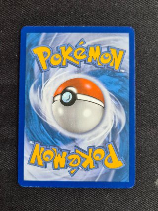 Carta Pokémon Gyarados EX 123/122