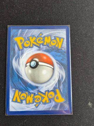 Carta Pokémon Gyarados EX 123/122
