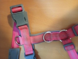 Arnés para perro rosa fluorescente