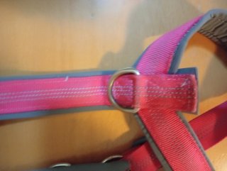 Arnés para perro rosa fluorescente