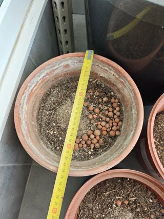 Lote Tiestos y Platos-Varios Tamaños-Barro y PVC