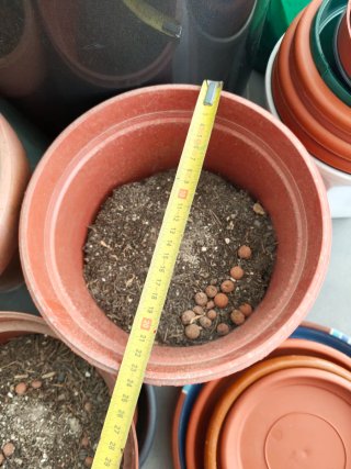 Lote Tiestos y Platos-Varios Tamaños-Barro y PVC