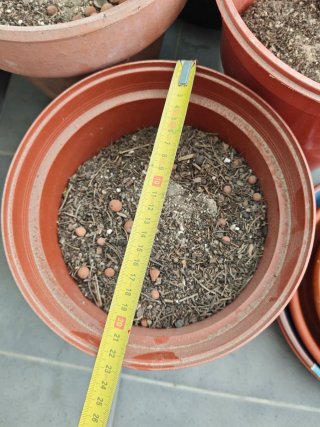 Lote Tiestos y Platos-Varios Tamaños-Barro y PVC