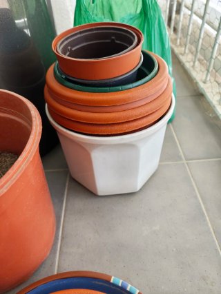 Lote Tiestos y Platos-Varios Tamaños-Barro y PVC