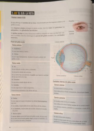 Proyecto: FanFest - Biología y Geología 3 ESO