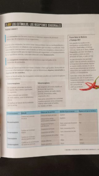Proyecto: FanFest - Biología y Geología 3 ESO
