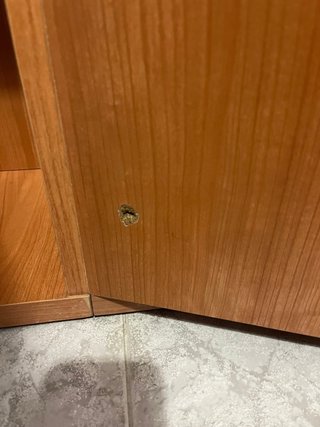 Armario modular madera y verde