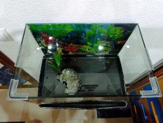 Acuario de cristal 40L