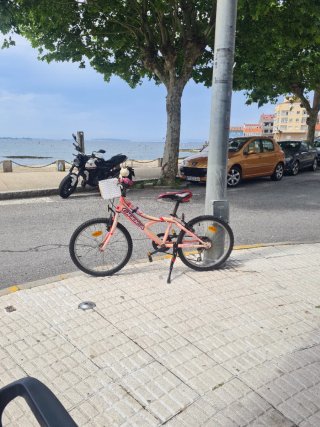 Bicicleta Orbea Rueda 20 con cambio
