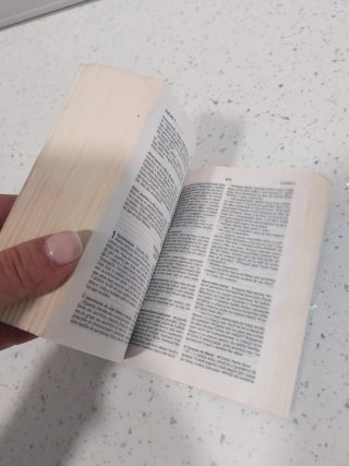 Sagrada Biblia