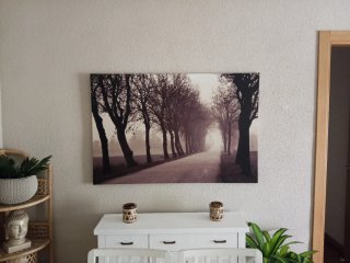 Cuadro Lienzo Bosque Ikea