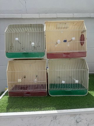 4 Jaulas para pájaros