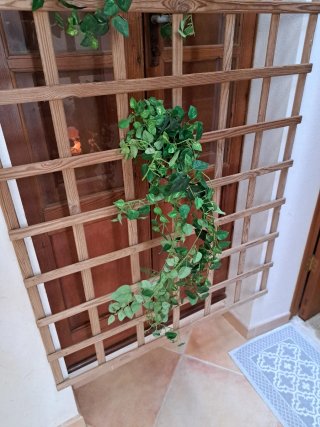 4 Plantas Artificiales Colgantes