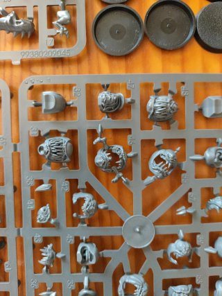 Manada de Garrapatos - Warhammer