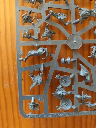 Manada de Garrapatos - Warhammer