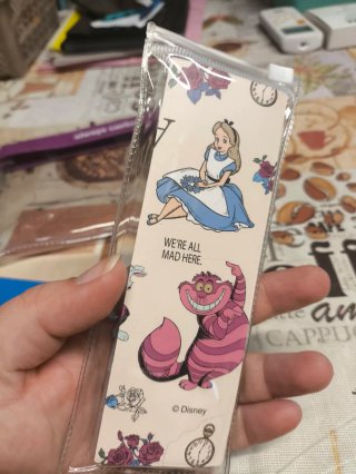 Set Alice in Wonderland: astuccio, taccuino, penne