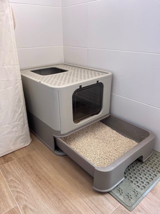 Arenero para gatos con puerta