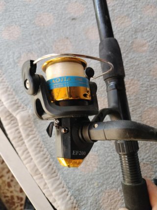 Caña de pesca con carrete EF200