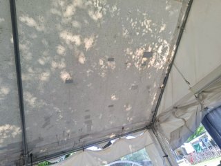 Carpa 6x4