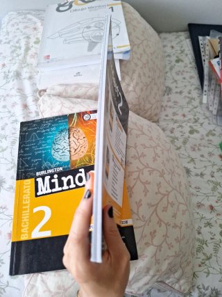 MINDSET BACH 2 WB