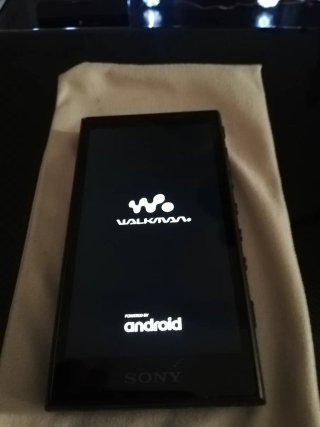 Reproductor Sony NW-A105 Walkman 16GB Negro