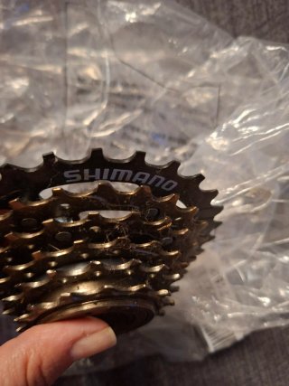 Piñón Bicicleta 6 Velocidades Shimano