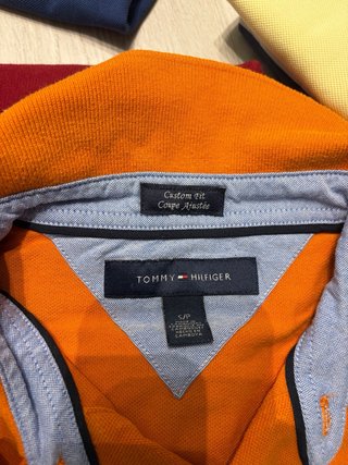 Lote 5 polos: Boss, Hollister, Lacoste, Polo, Tomm