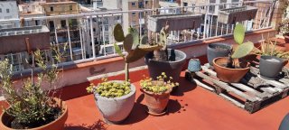 Conjunto Macetas Cerámica Terraza