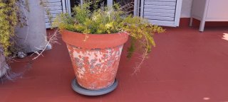 Conjunto Macetas Cerámica Terraza