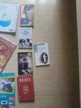 Libros 3 ESO IES Berenguer Anoia