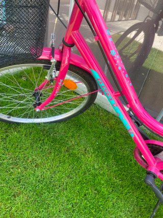 Bicicleta Paseo B-PRO Urban Life Niña