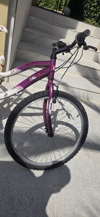 Bicicleta Montaña Mujer B-Pro Mountain Field 50