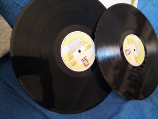 Elmore James - Shake Your Moneymaker LP