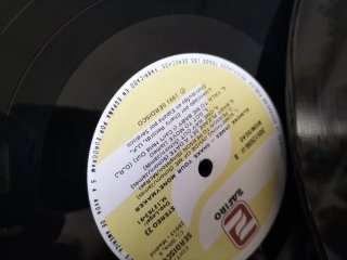 Elmore James - Shake Your Moneymaker LP