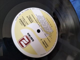 Elmore James - Shake Your Moneymaker LP