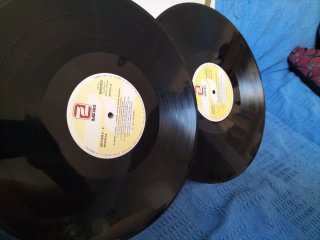Elmore James - Shake Your Moneymaker LP