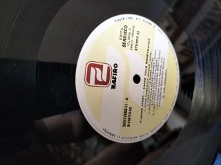 Elmore James - Shake Your Moneymaker LP