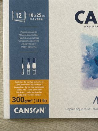 9 blocs de acuarela Canson y Clairefontaine