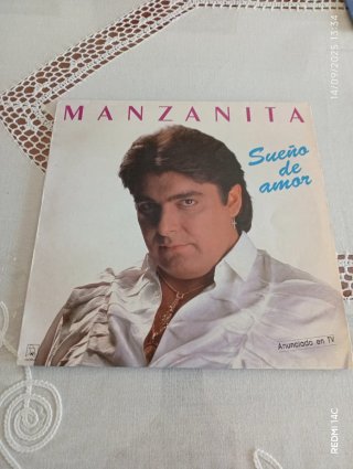 Lote 34 LPs Pop y Rock la mayoría como nuevos