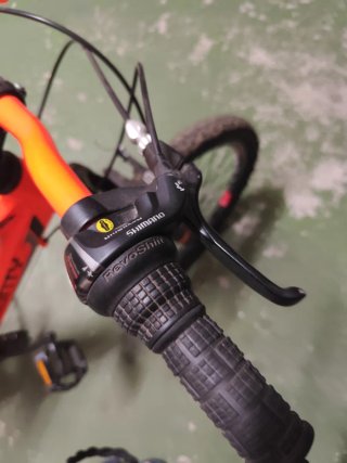 Bicicleta Infantil Monty 20