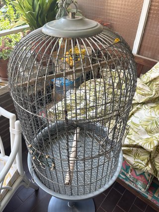 Jaula para pájaros grande
