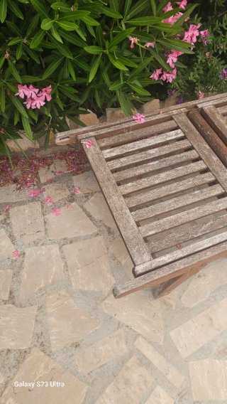 Tumbona de madera para jardín