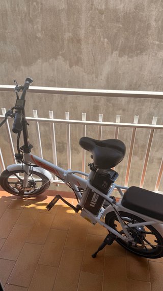Bicicleta Eléctrica evercross tech