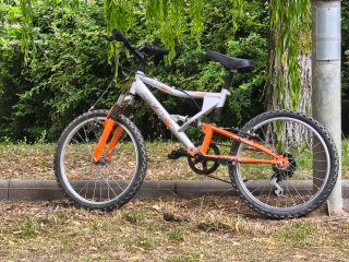 Bicicleta infantil 20