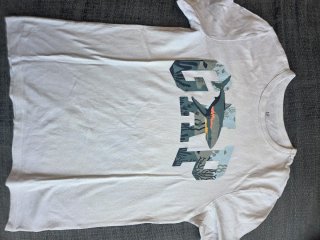 Camisetas GAP Niño Talla L (10 años)