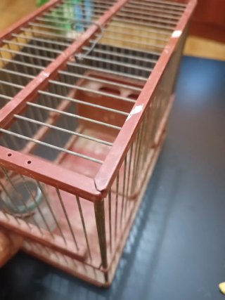 Jaula para pájaros de madera y metal